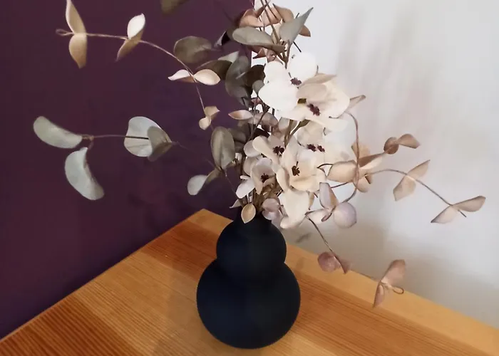 Σπίτι διακοπών Hibiscus *